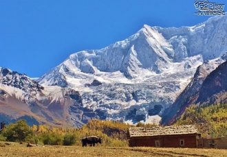 西藏金旅獎